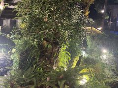 -大妙火锅·非物质文化遗产(东湖公园店)