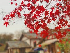 -茅山东方盐湖城景区