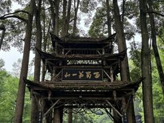 -青城山