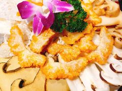 云南菌菇拼盘-云中鱼蒸汽石锅鱼(浦东食品城店)