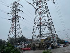 -中环花鸟鱼虫市场