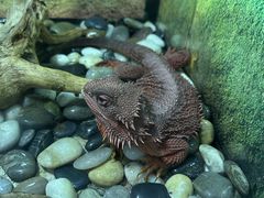-青岛海底世界-水族馆