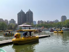 -团结湖公园