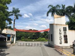 -金花茶公园