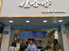 门面-娃哈哈·奶茶(武林店)
