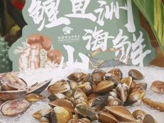 -鲤鱼洲酒店港鲤咖啡厅