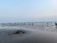 -南汇新城海滩