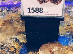 帝王蟹-盒马鲜生(龙德广场店)