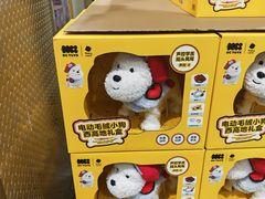 -山姆会员商店(上海浦东店)
