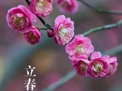 -攀枝花·任德琼·盐边羊肉米线