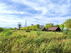 -永定河休闲森林公园