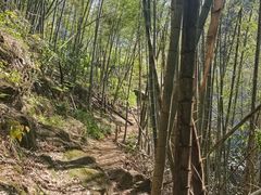 -鸡枕山