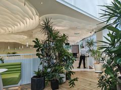 -大树餐厅(红旗街万达店)