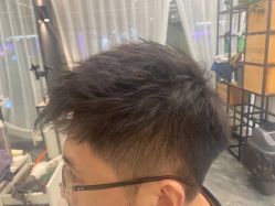 点击看大图 -藤野造型