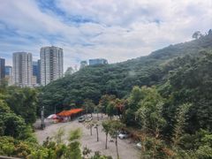 -鲤鱼塘农家山庄