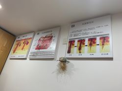 -章光101防脱养发荟