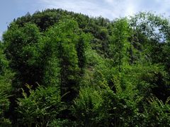 -车溪民俗旅游区