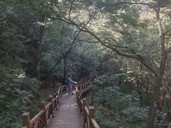 -大岭沟猕猴桃谷风景区