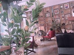 -咖法森林·咖啡  酒吧(天河店)