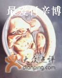 酸辣水饺-春阳水饺(香槟广场店)