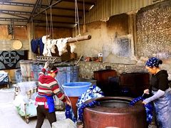 -璞真扎染博物馆