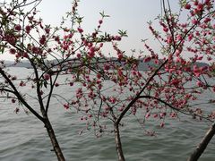 -西湖天地