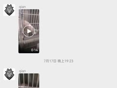 -守诺宠物医院·眼科· 特色牙科·异宠专科(虹口店)