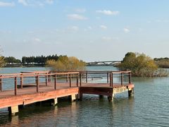 -贡湖湾湿地公园