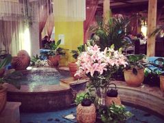 iphone_upload_pic-润园四季椰子鸡火锅(海上世界店)