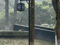 -良渚文化村