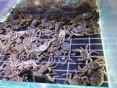 -聚盛源蒸汽海鲜火锅烤肉自助(巨川金海岸购物广场店)