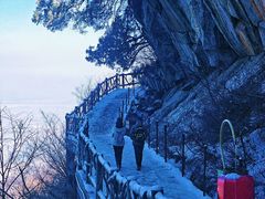 -少华山国家森林公园