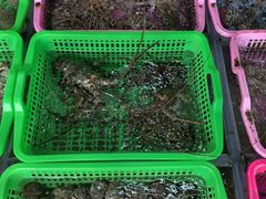 -众味海鲜大排档·活海鲜·潮汕味(南澳店)