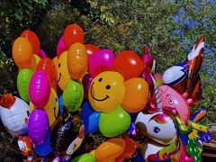 -长白岛森林公园