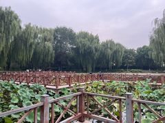 -丰台科技园生态主题公园