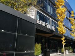 -金尚源SHANG
