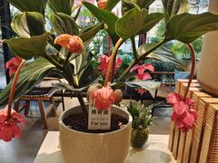 -银泰百货(海宁店)