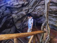 -上海昆虫博物馆