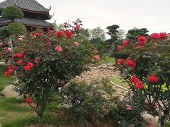 -南宁南湖公园