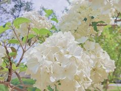 -盘门景区