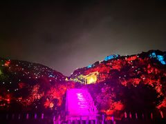 -印象普陀