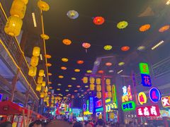 -鸿恩陶然大观园