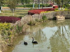 -径山花海