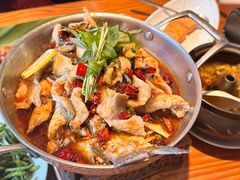 -菌自由丨野生菌火锅特色庭院餐厅(丽江古城店)