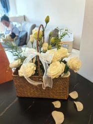 -大美母婴月子中心(馨乐庭店)