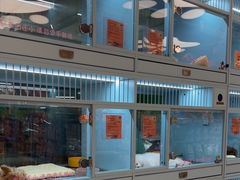 -FAELING PETS美天灵宠物(合生汇店)