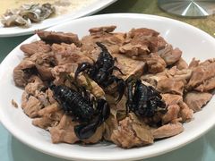 天山雪莲响螺蝎子王-山泉公馆酒家(珠江新城店)