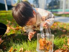 -硅谷蒙学幼儿园