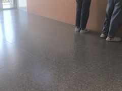 -雾与山茶(大禹城店)