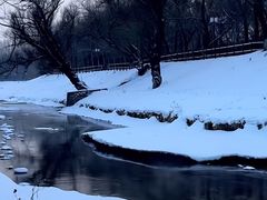 -黛秀湖公园